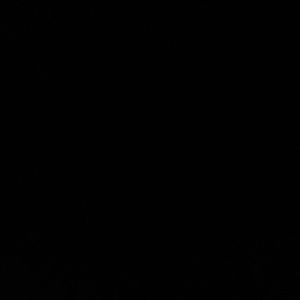 Meet your Posher, Jocelyn